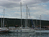 poadatelsk lod ELAN 431
